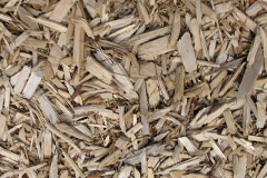 biomass boilers Cogges